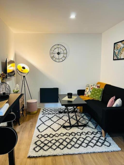 Le Black Pearl Avec Salle De Sport Appartement Amiens